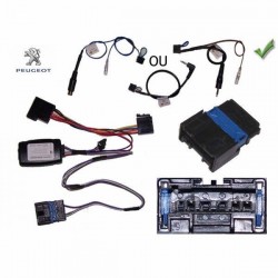 COMMANDE VOLANT Peugeot 406 1999-2002 avec écran séparé - Pour Pioneer