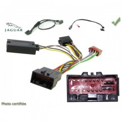 COMMANDE VOLANT Jaguar X-Type 2004-2009 SANS Navigation SANS Ampli d'origine